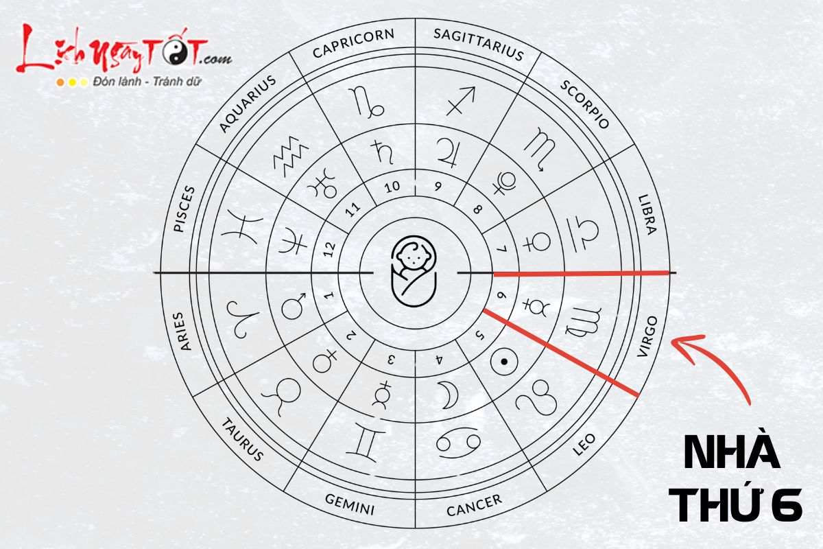 Vi tri nha 6 trong chiem tinh