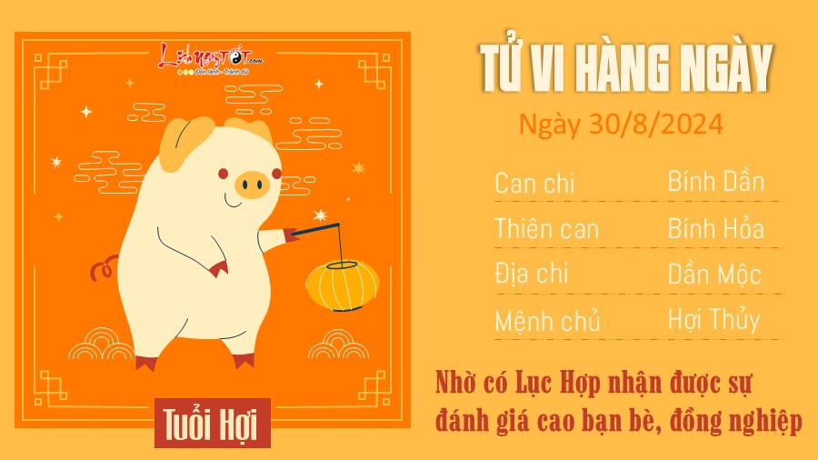 Tu vi hang ngay 30/8/2024 cua 12 con giap - tuoi Hoi