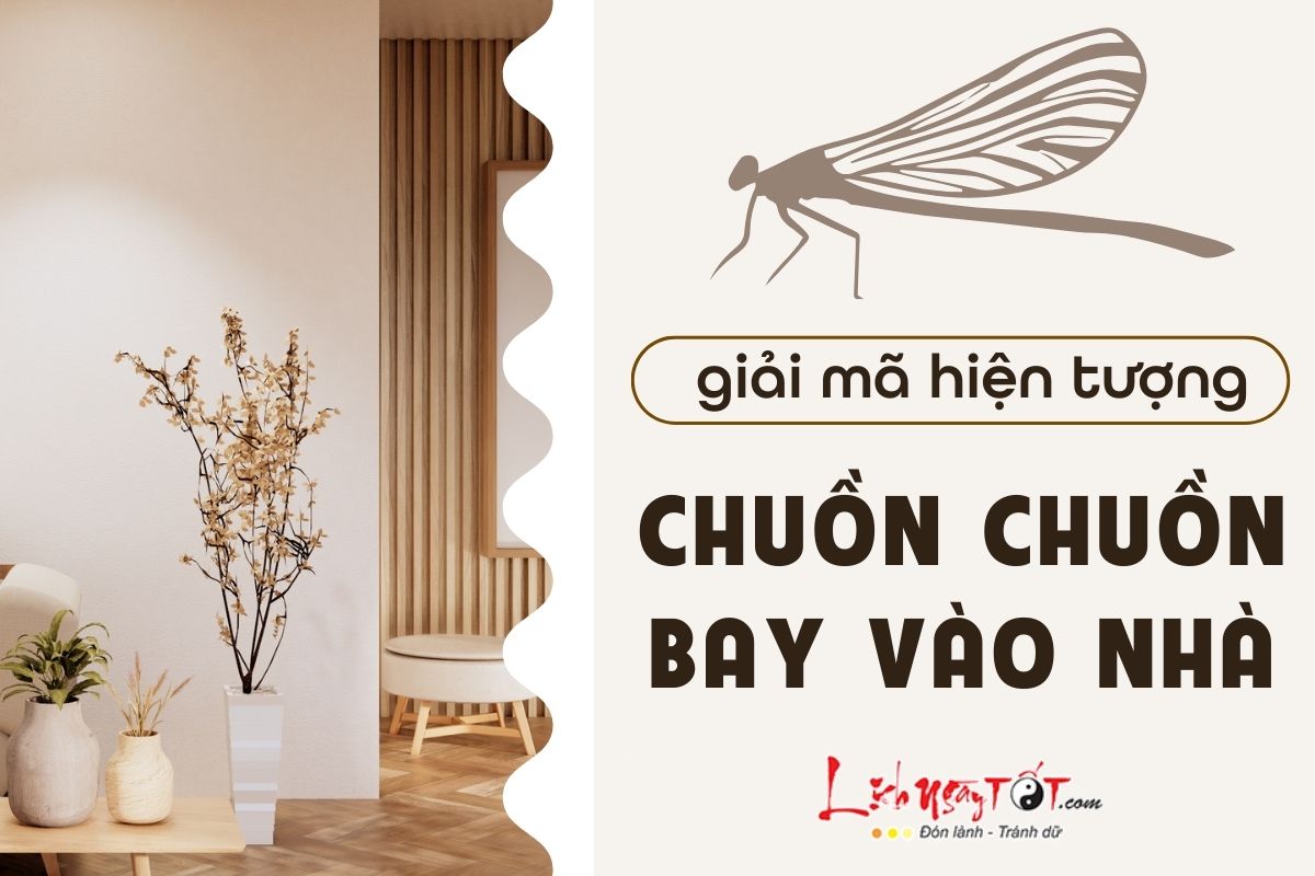 Chuon chuon bay vao nha la diem gi