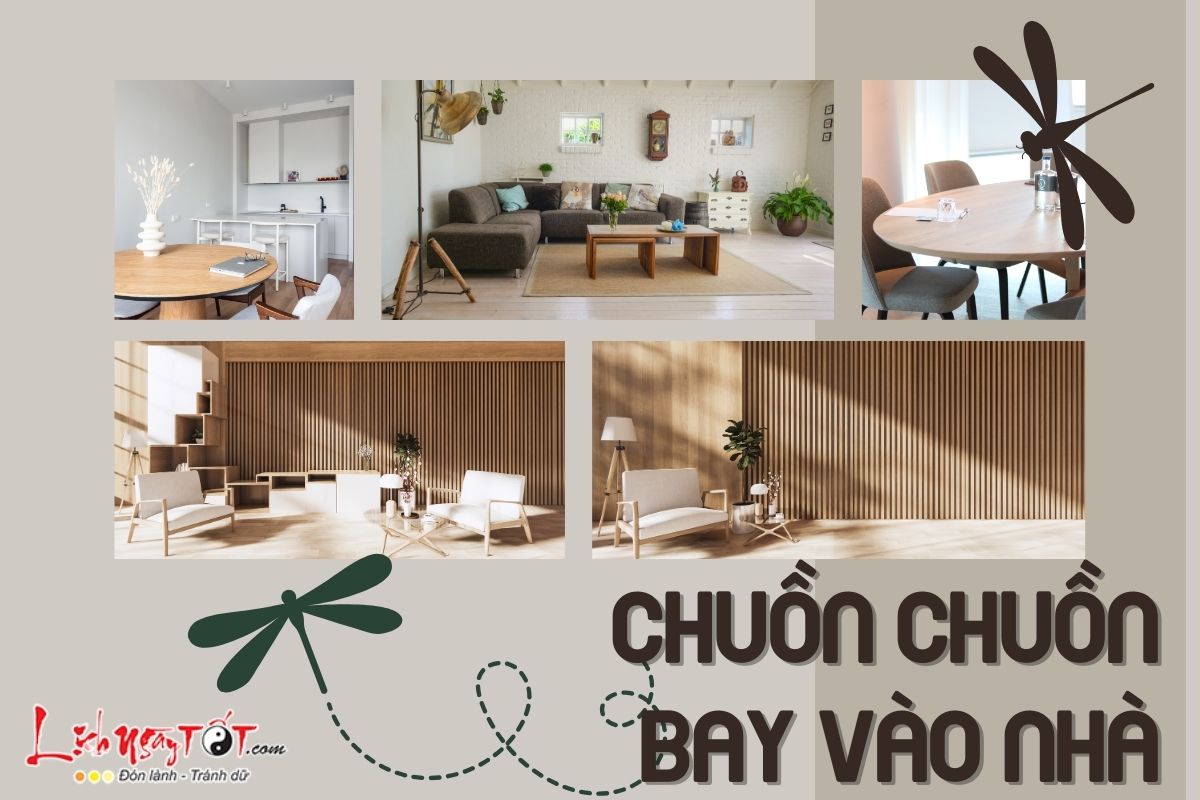 Chuon chuon bay vao nha