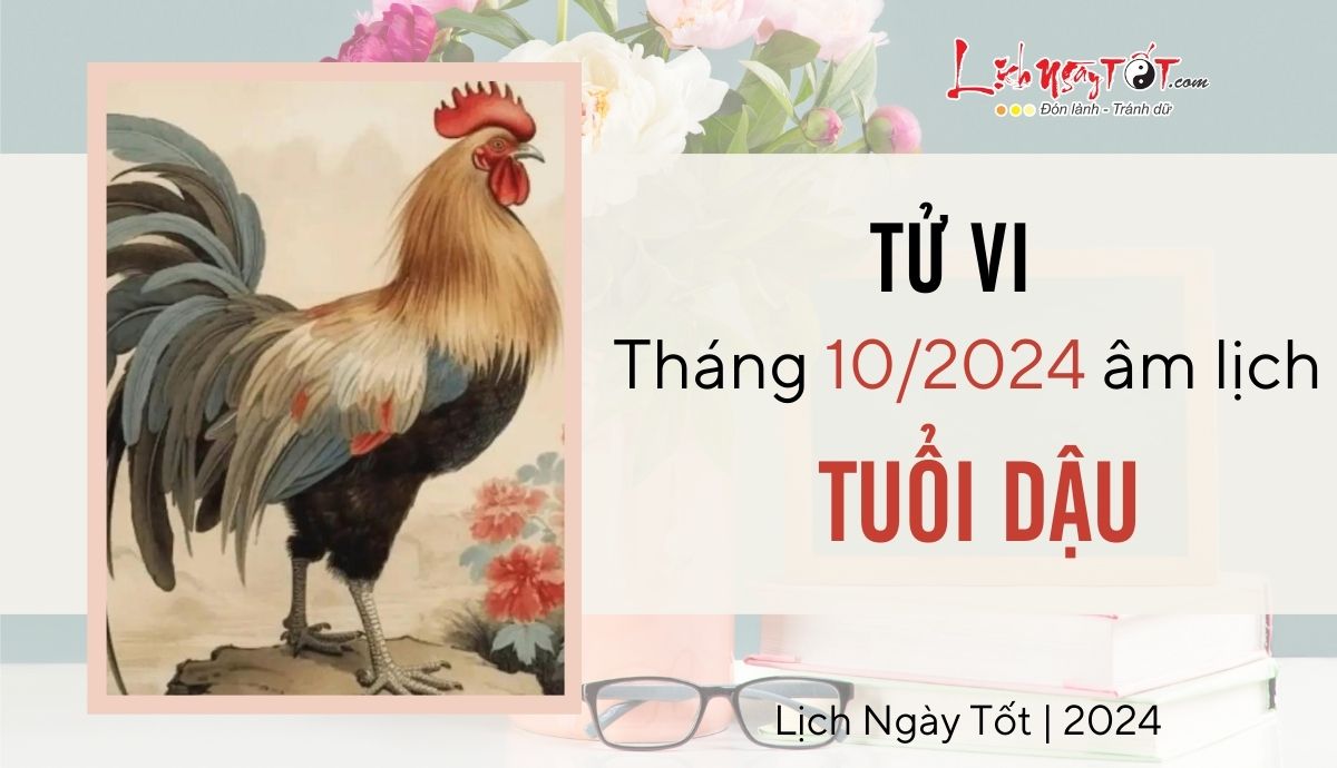 Tu vi thang 10/2024 tuoi Dau am lich