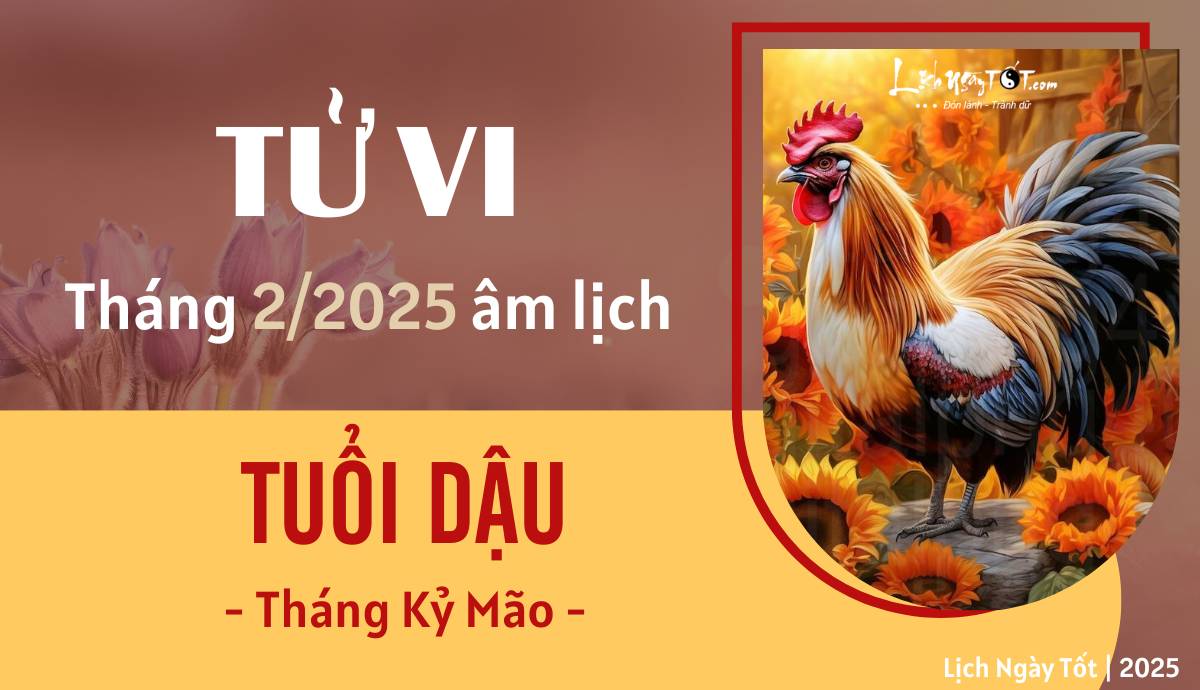 Tu vi thang 2/2025 tuoi Dau am lich