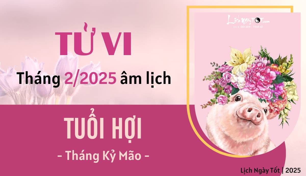 Tu vi thang 2/2025 tuoi Hoi am lich