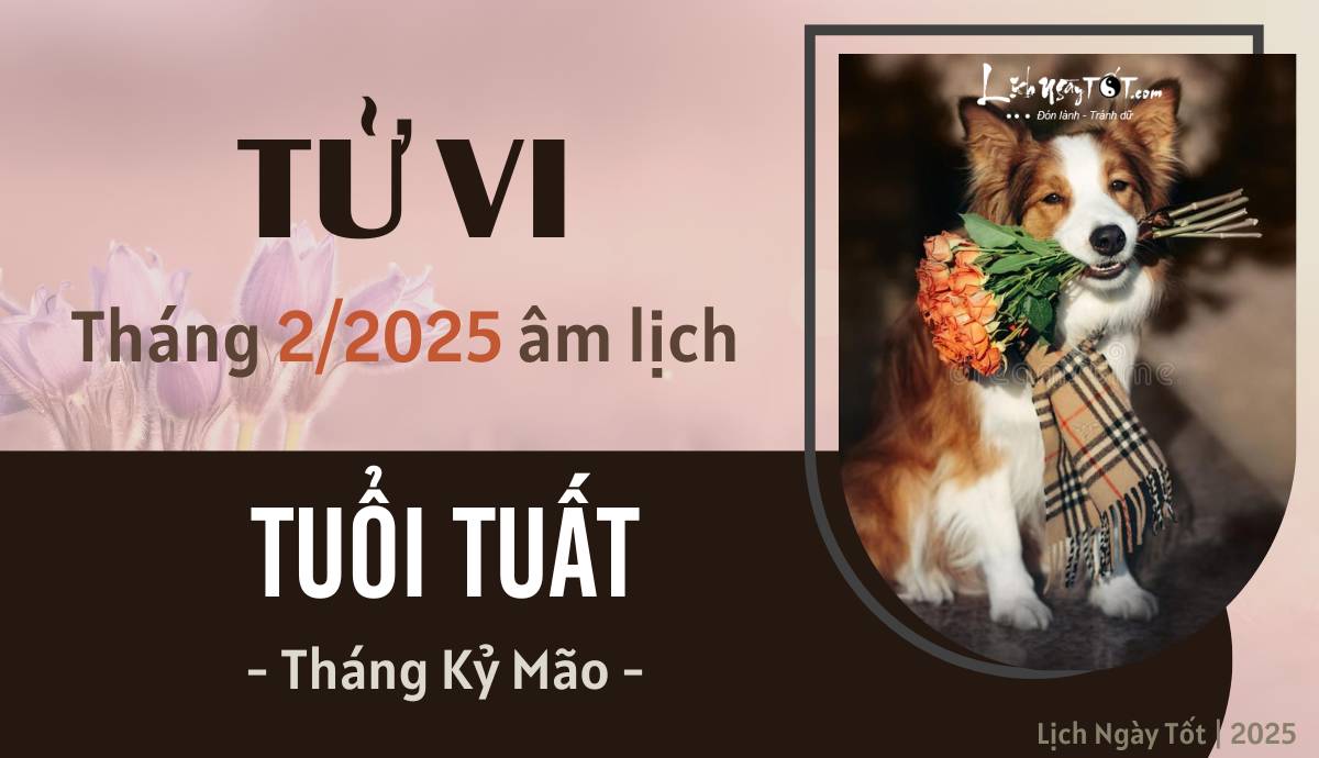 Tu vi thang 2/2025 tuoi Tuat am lich