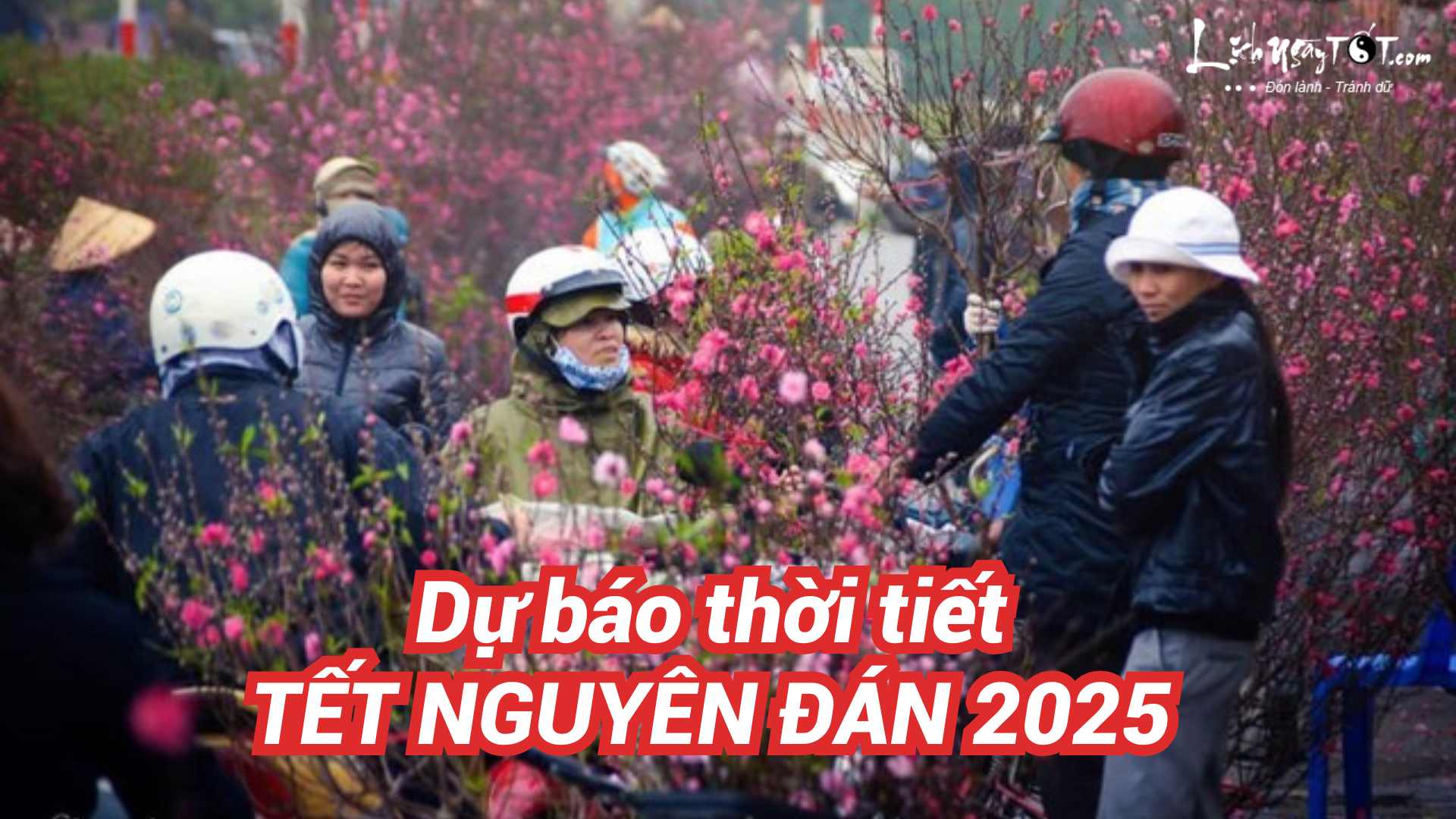 Du bao thoi tiet Tet Nguyen Dan 2025