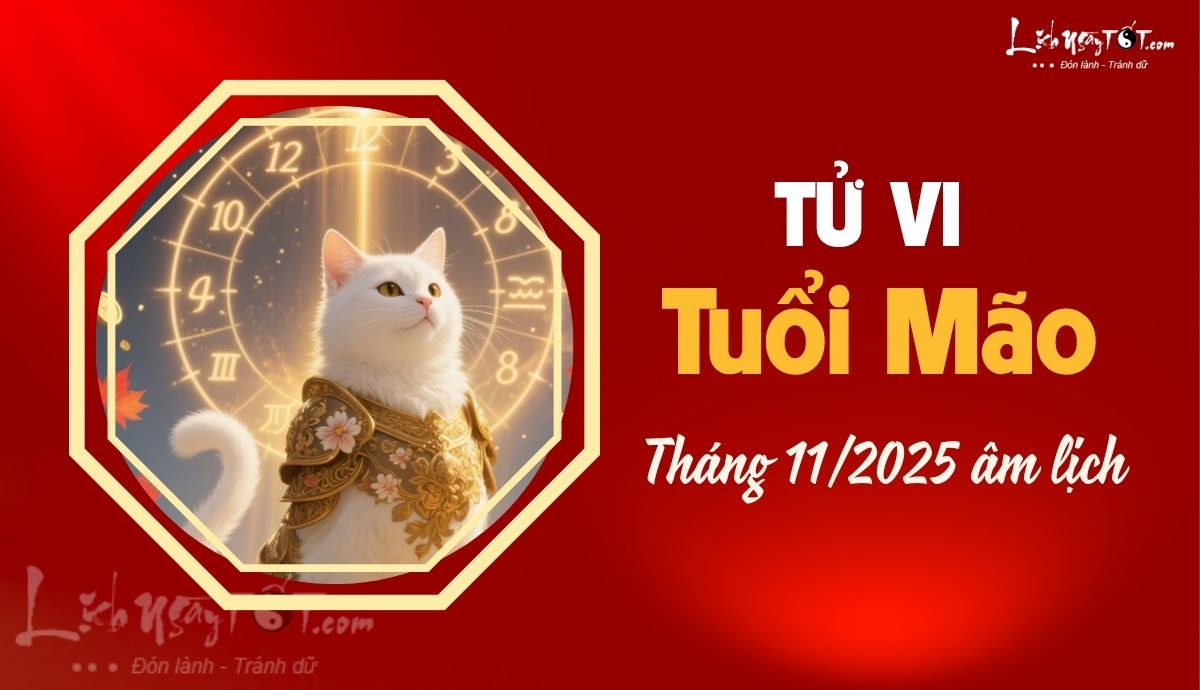 Tử vi tháng 11/2025 tuổi Mão âm lịch Tu vi thang 11/2025 tuoi Mao am lich