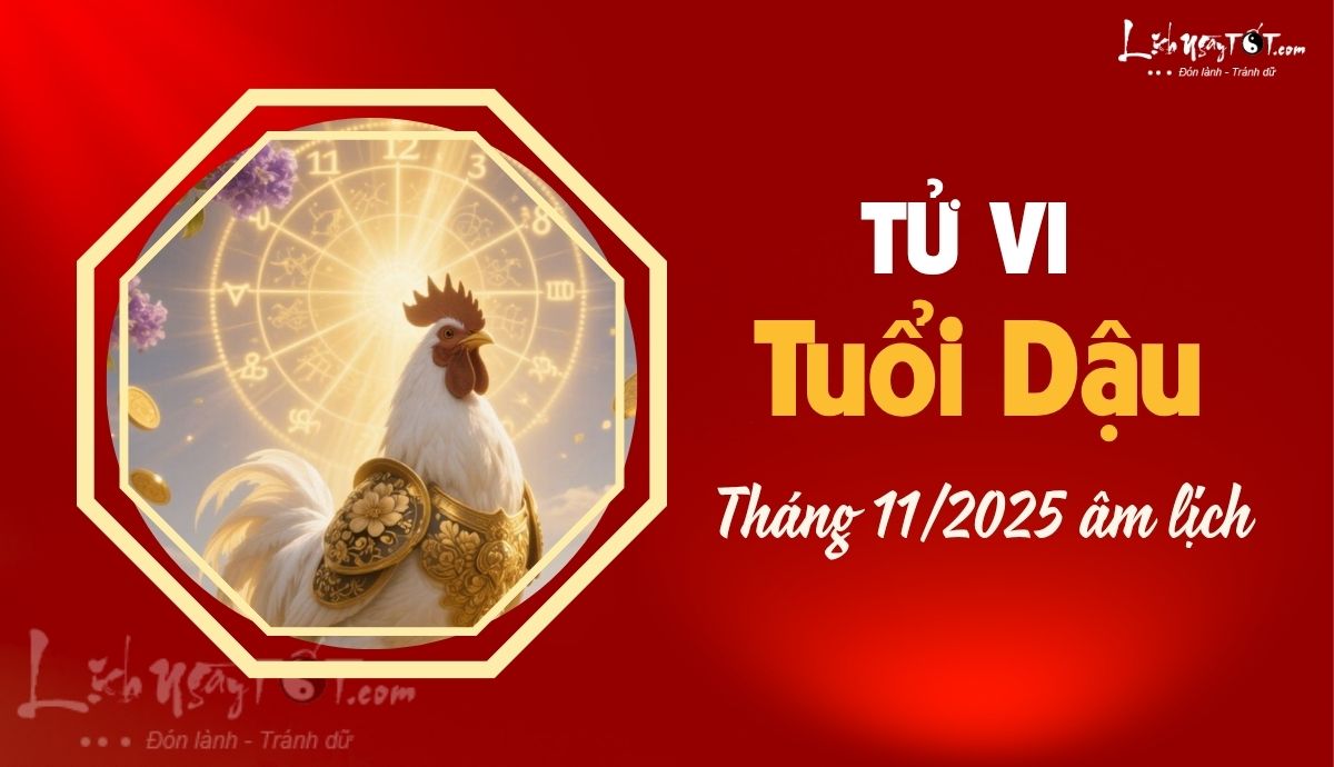 Tu vi thang 11/2025 tuoi Dau am lich