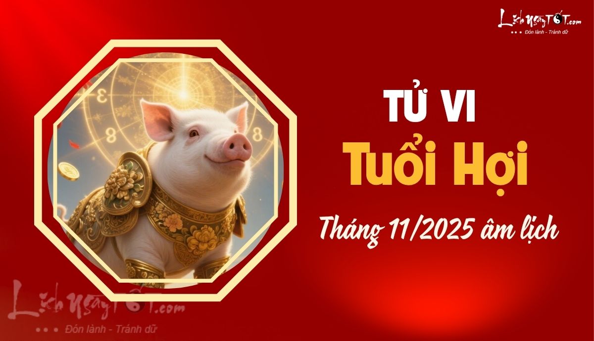 Tu vi thang 11/2025 tuoi Hoi am lich