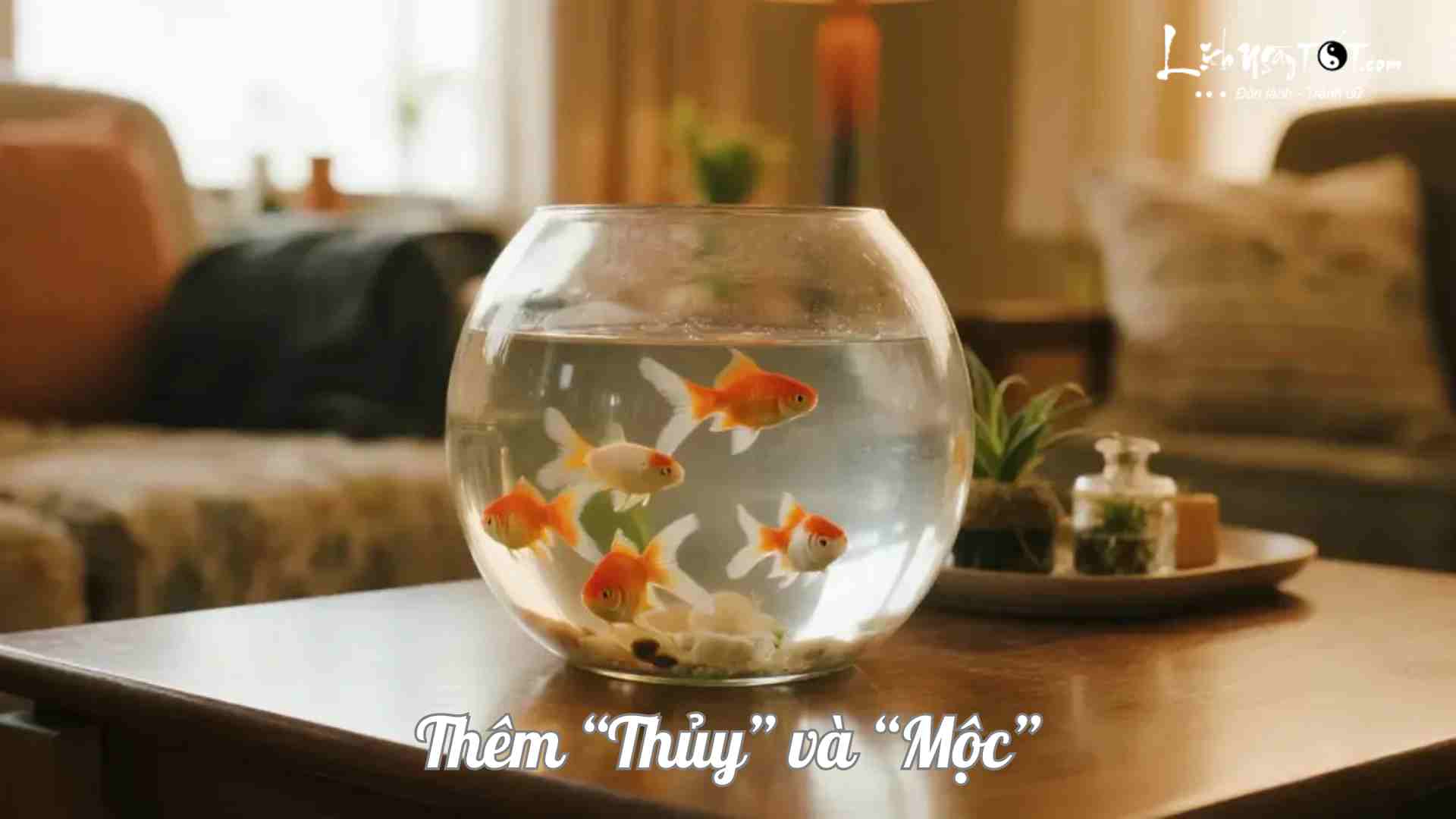Thêm Thủy và Mộc Them Thuy va Moc