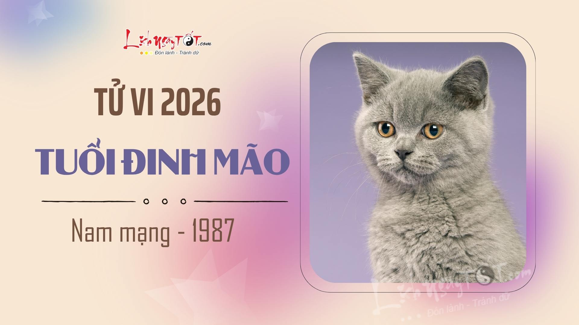 Tu vi nam 2026 tuoi Dinh Mao nam mang