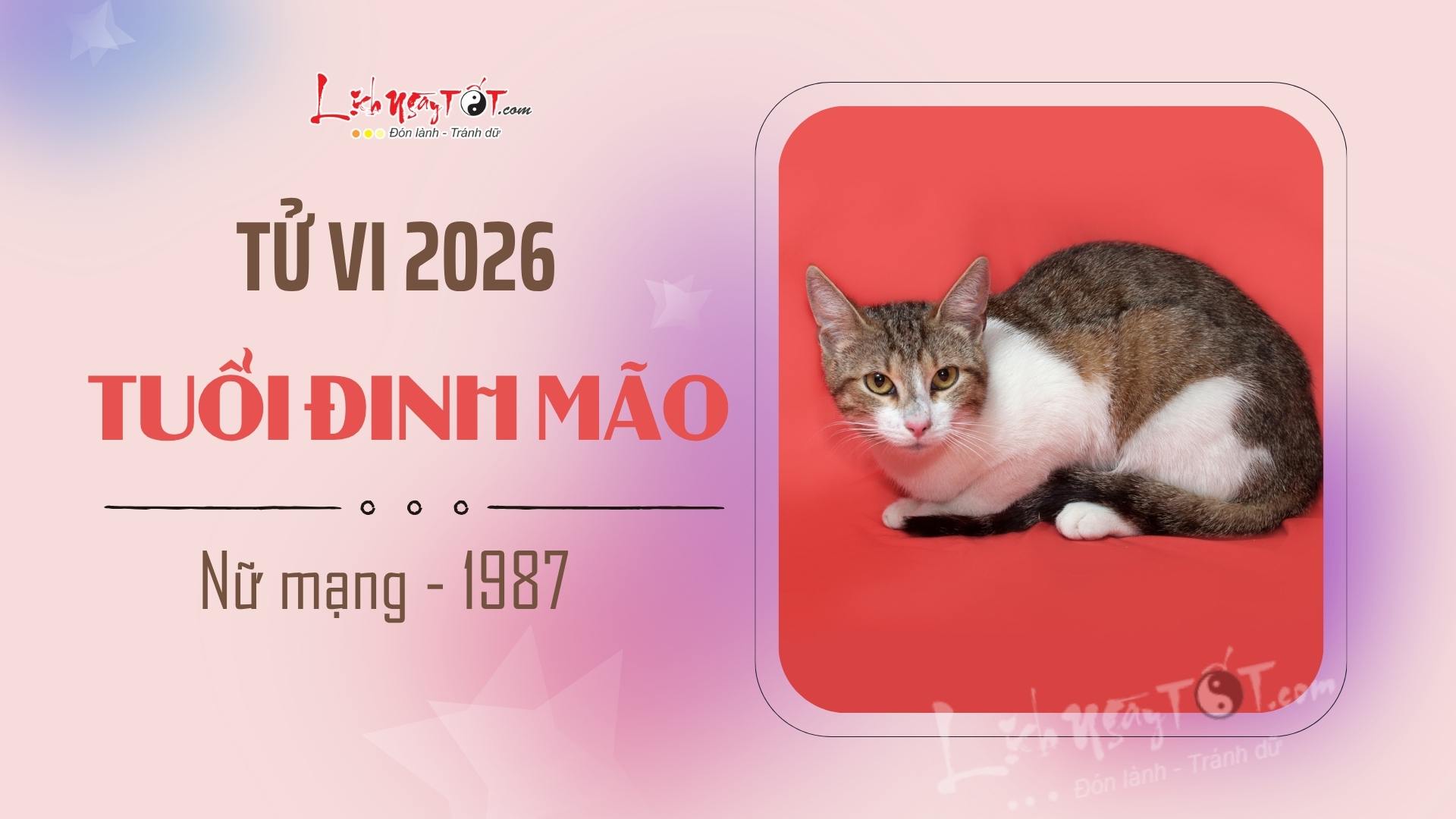 Tu vi nam 2026 tuoi Dinh Mao nu mang