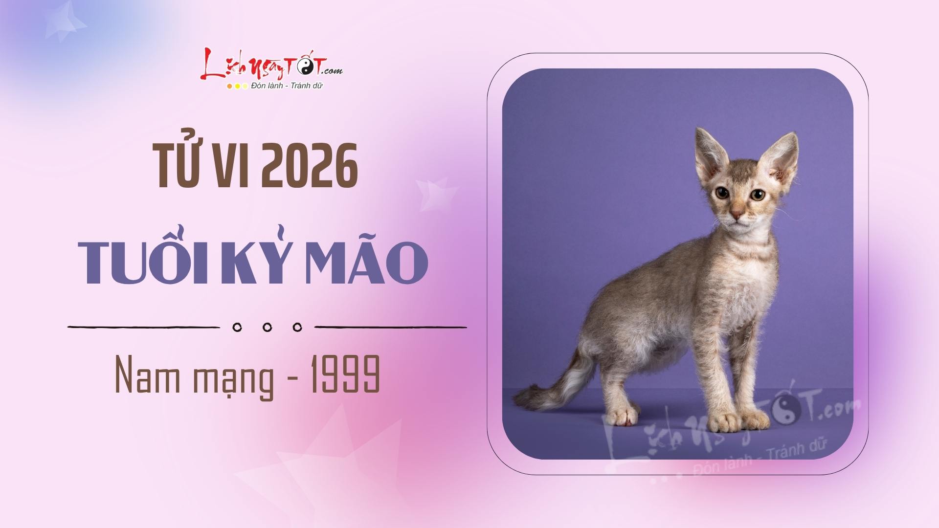 Tu vi nam 2026 tuoi Ky Mao nam mang