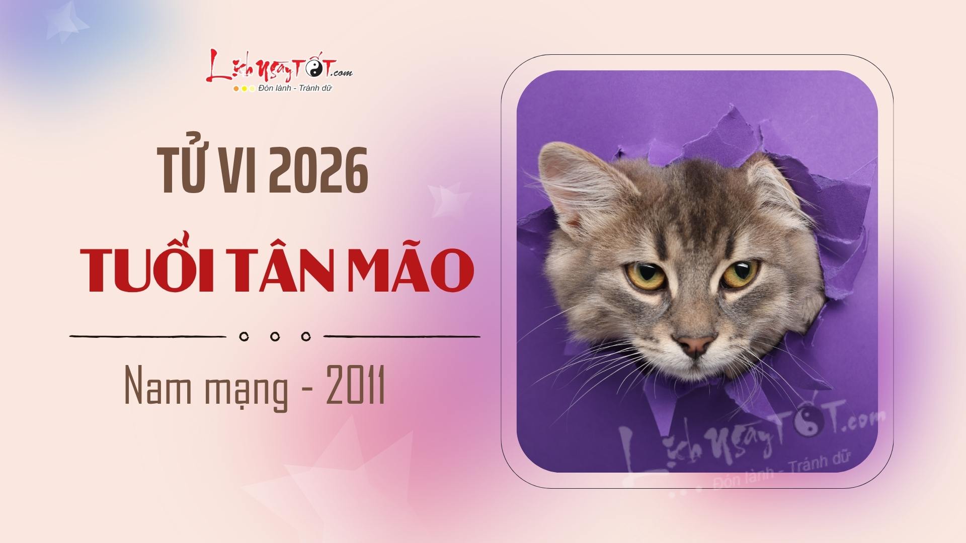 Tu vi nam 2026 tuoi Tan Mao nam mang