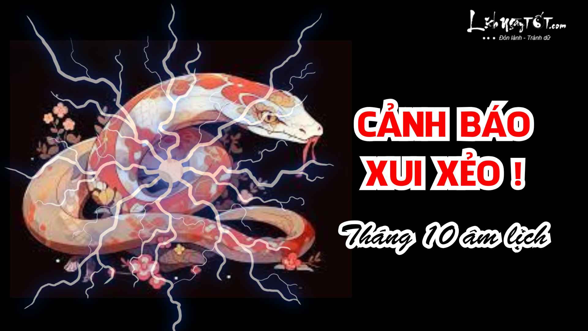 Con giáp gặp xui xẻo tháng 10 âm năm 2025 Con giap gap xui xeo thang 10 am nam 2025