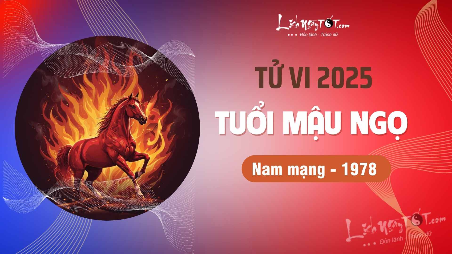 Tu vi nam 2026 tuoi Mau Ngo nam mang
