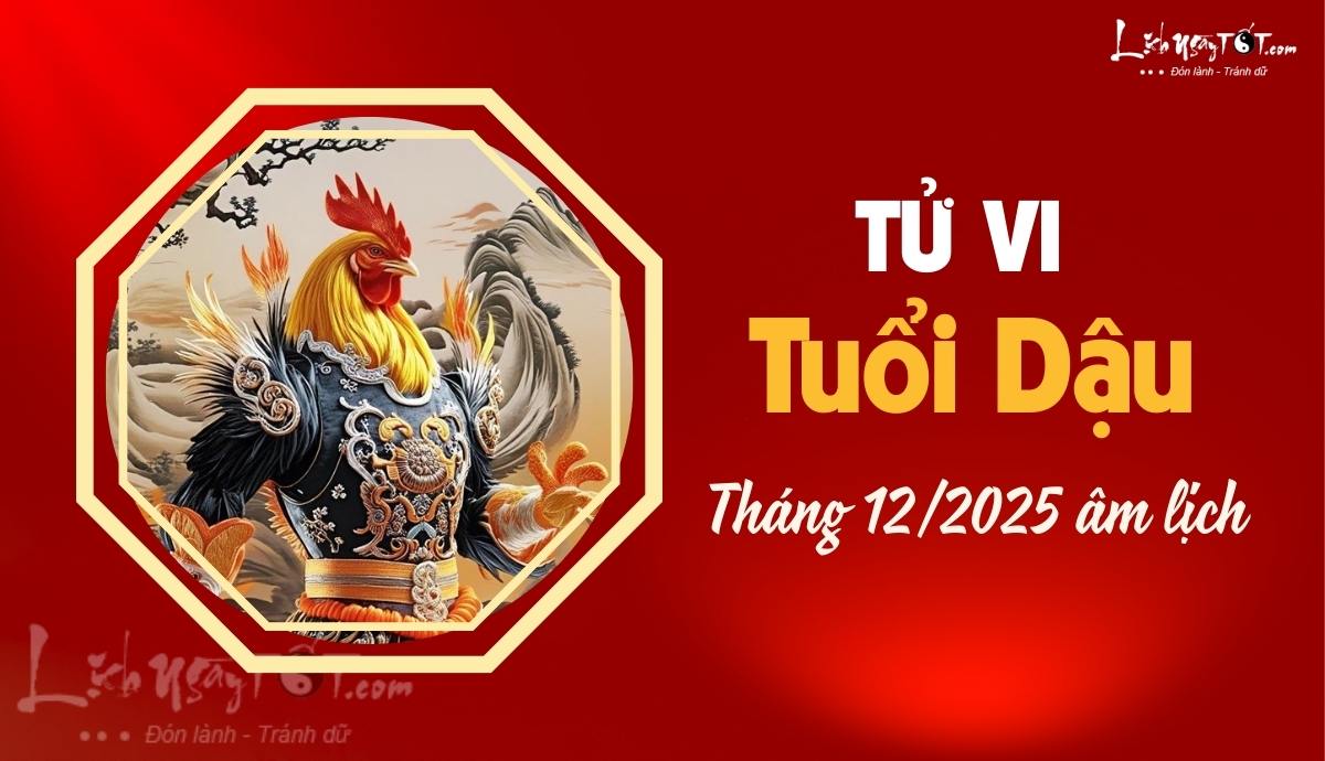 Tu vi thang 12/2025 tuoi Dau am lich