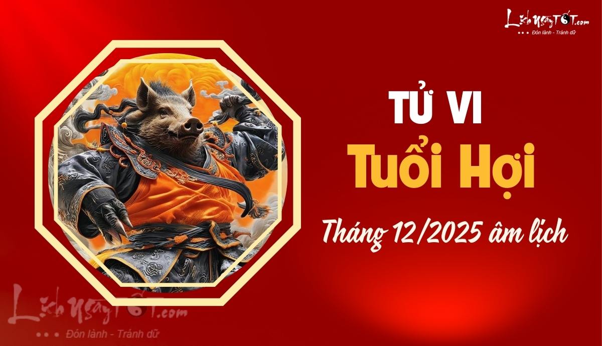 Tu vi thang 12/2025 tuoi Hoi am lich