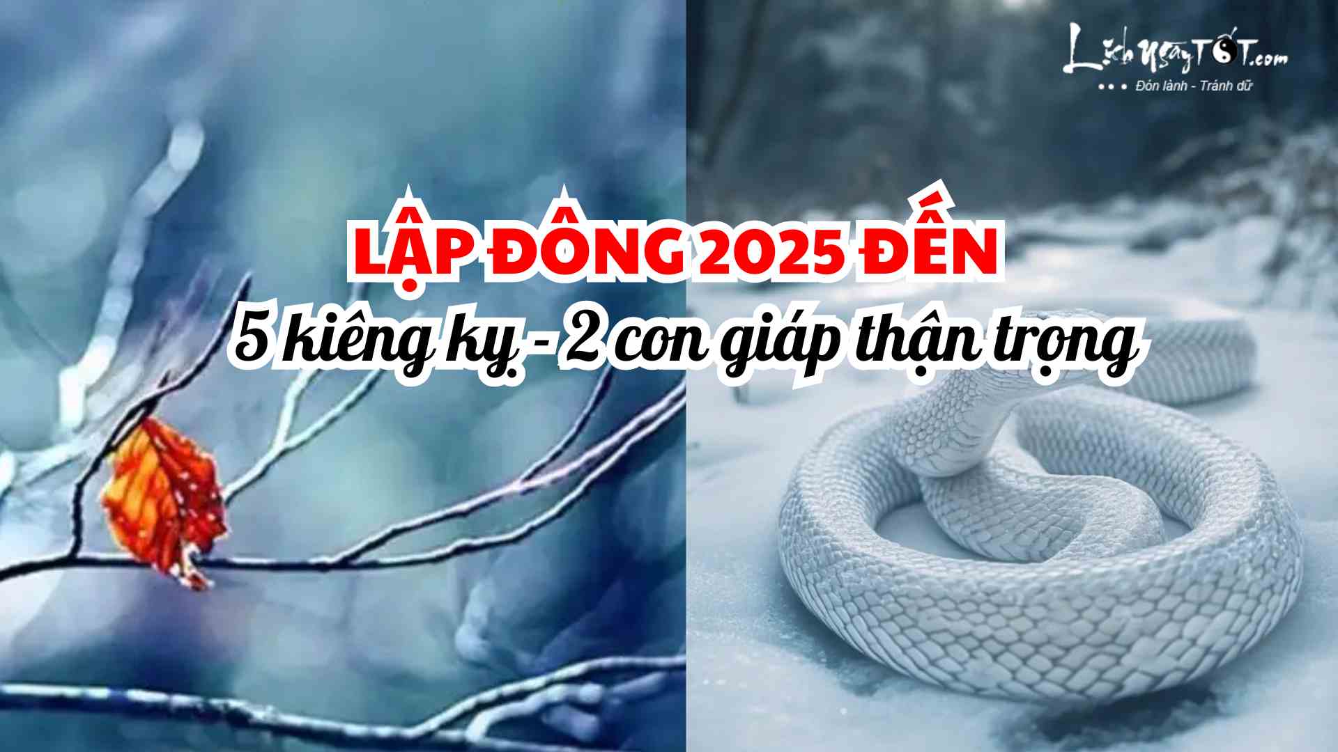 Con giáp cẩn thận tiết lập đông 2025 Con giap can than tiet lap dong 2025