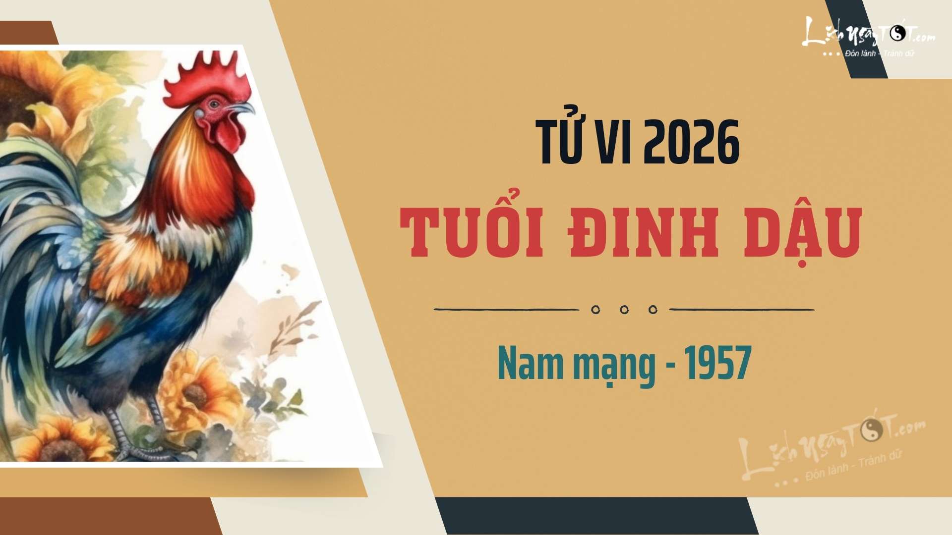 Tu vi nam 2026 tuoi Dinh Dau nam mang