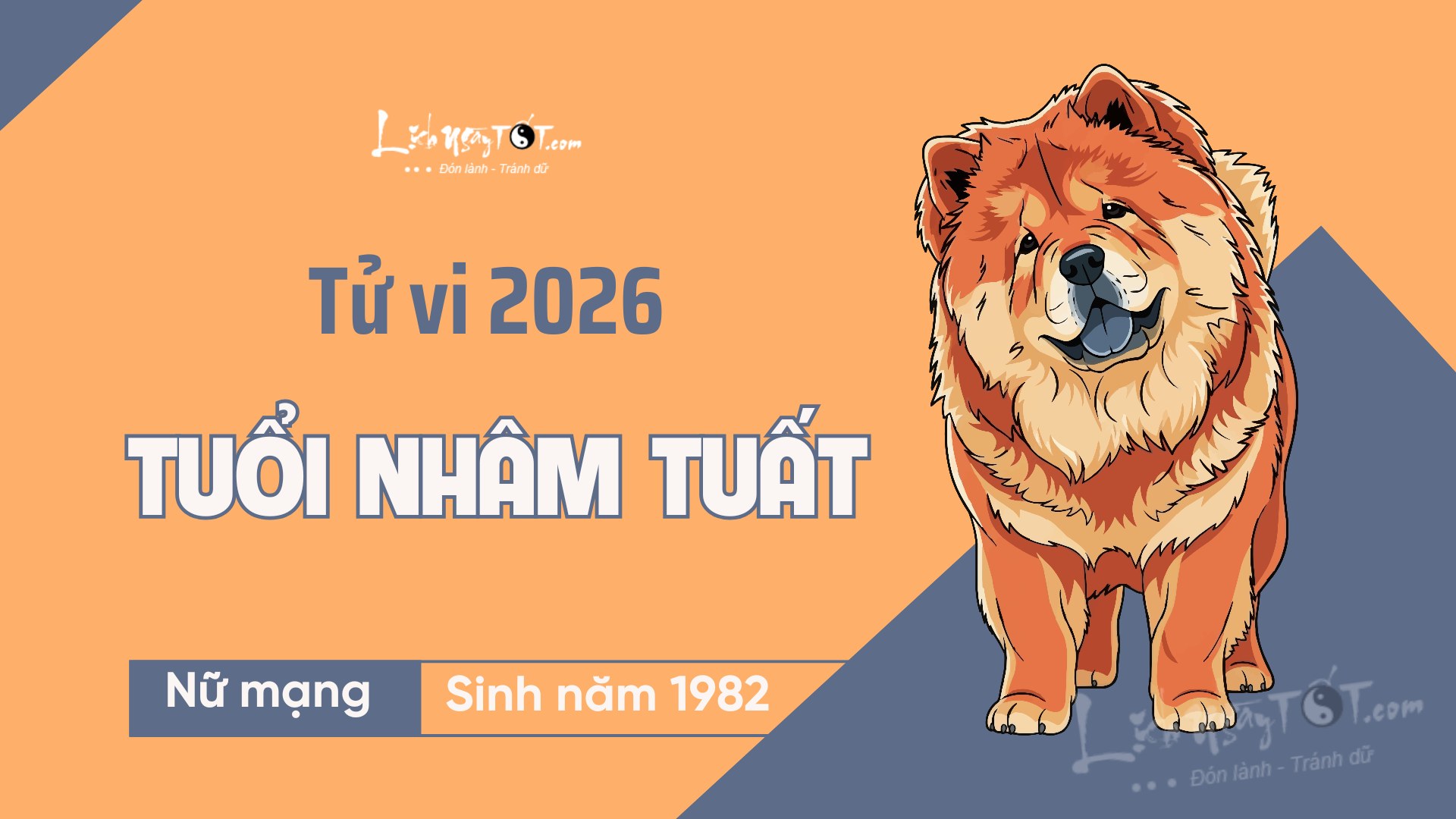 Tu vi nam 2026 tuoi Nham Tuat nu mang