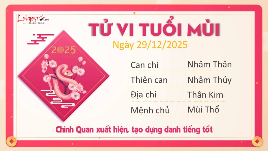 8 Tu vi hang ngay 29-12-2025 - Mui