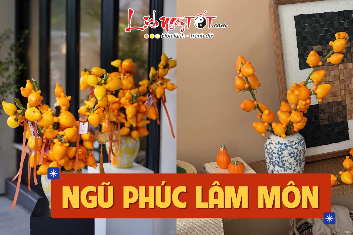 cay ngu dai dong duong chung Tet