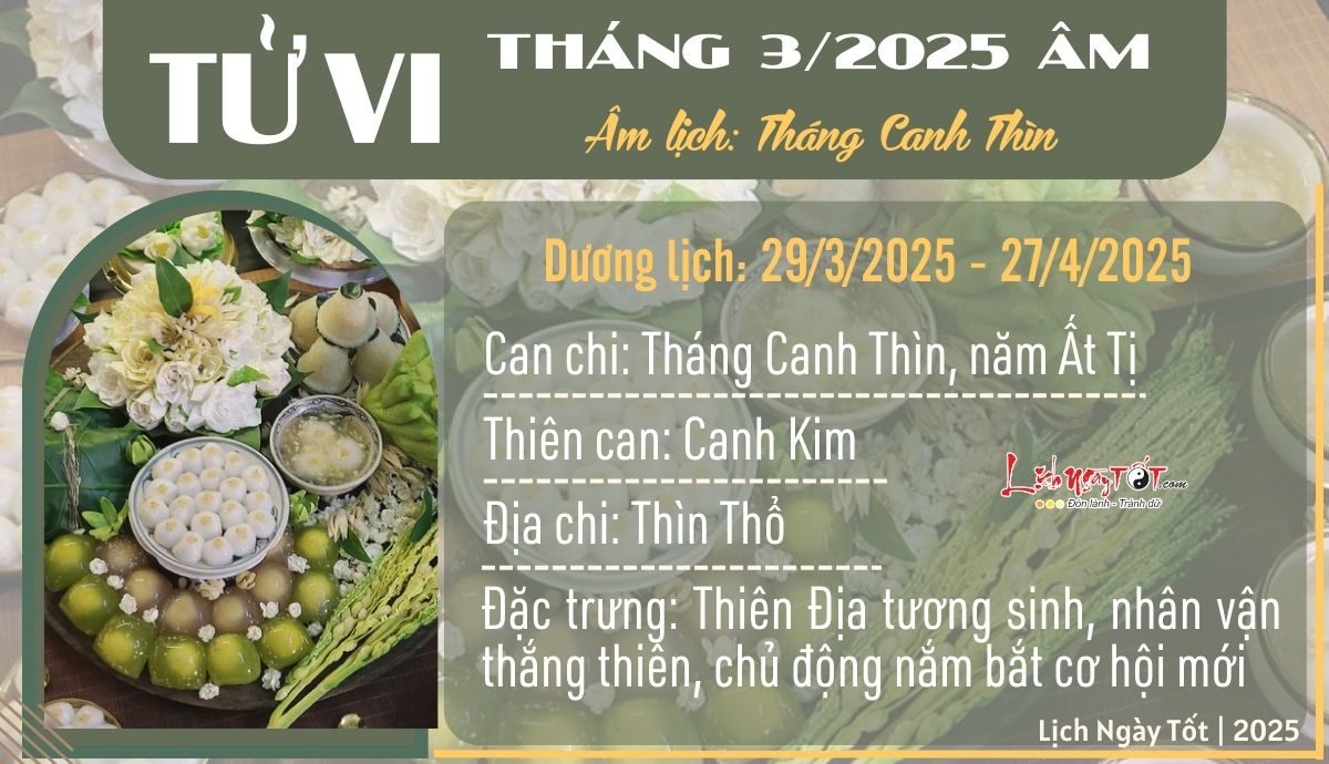 Tong quan tu vi thang 3/2025 am lich cua 12 con giap