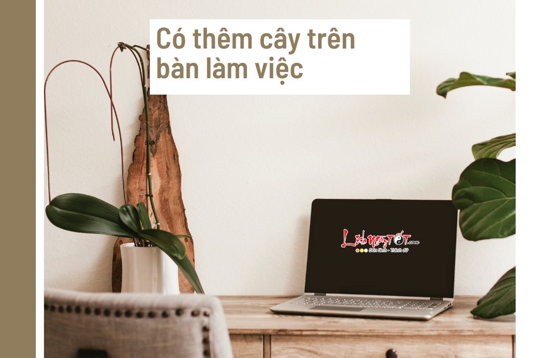 Trang tri cay tren ban lam viec