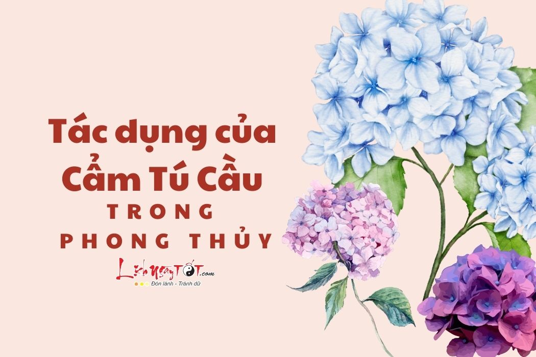 Tac dung cam tu cau trong phong thuy