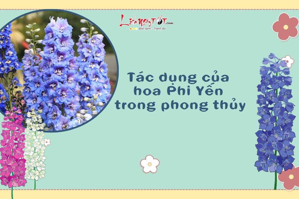 Y nghia Hoa phi yen phong thuy