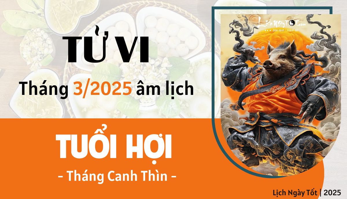 Tu vi thang 3/2025 tuoi Hoi am lich