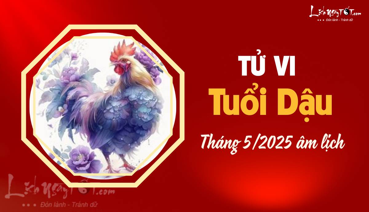 Tu vi thang 5/2025 tuoi Dau am lich
