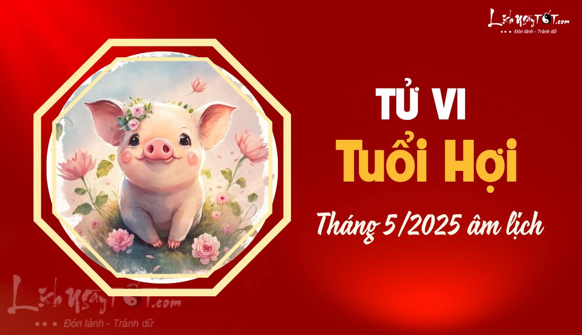 Tu vi thang 5/2025 tuoi Hoi am lich
