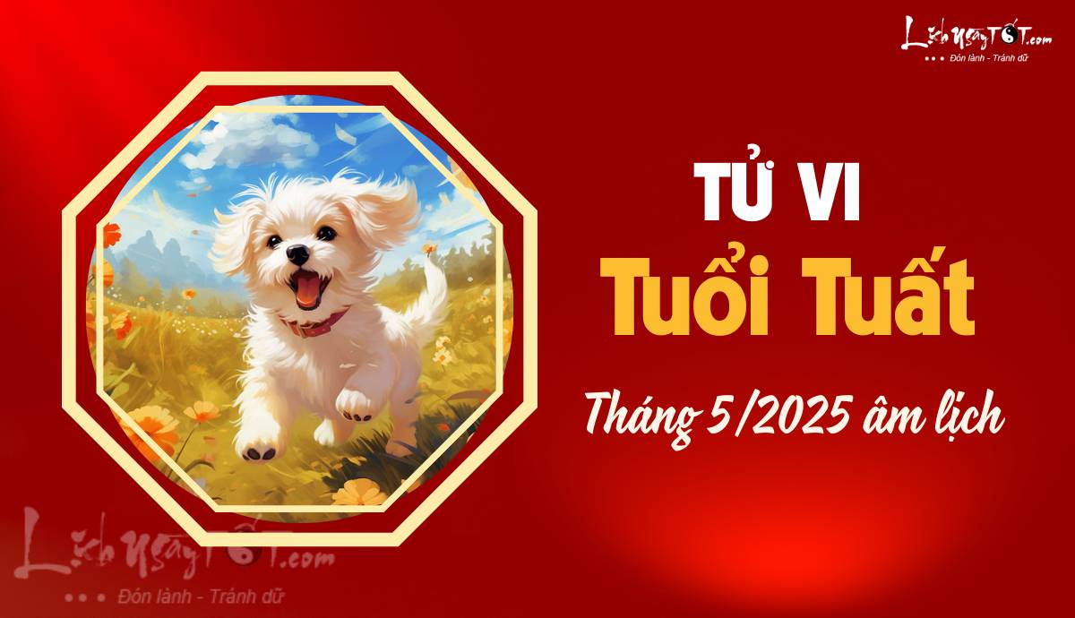 Tu vi thang 5/2025 tuoi Tuat am lich
