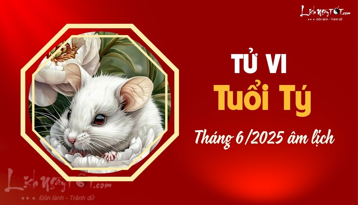 Tu vi thang 6/2025 tuoi Ty am lich