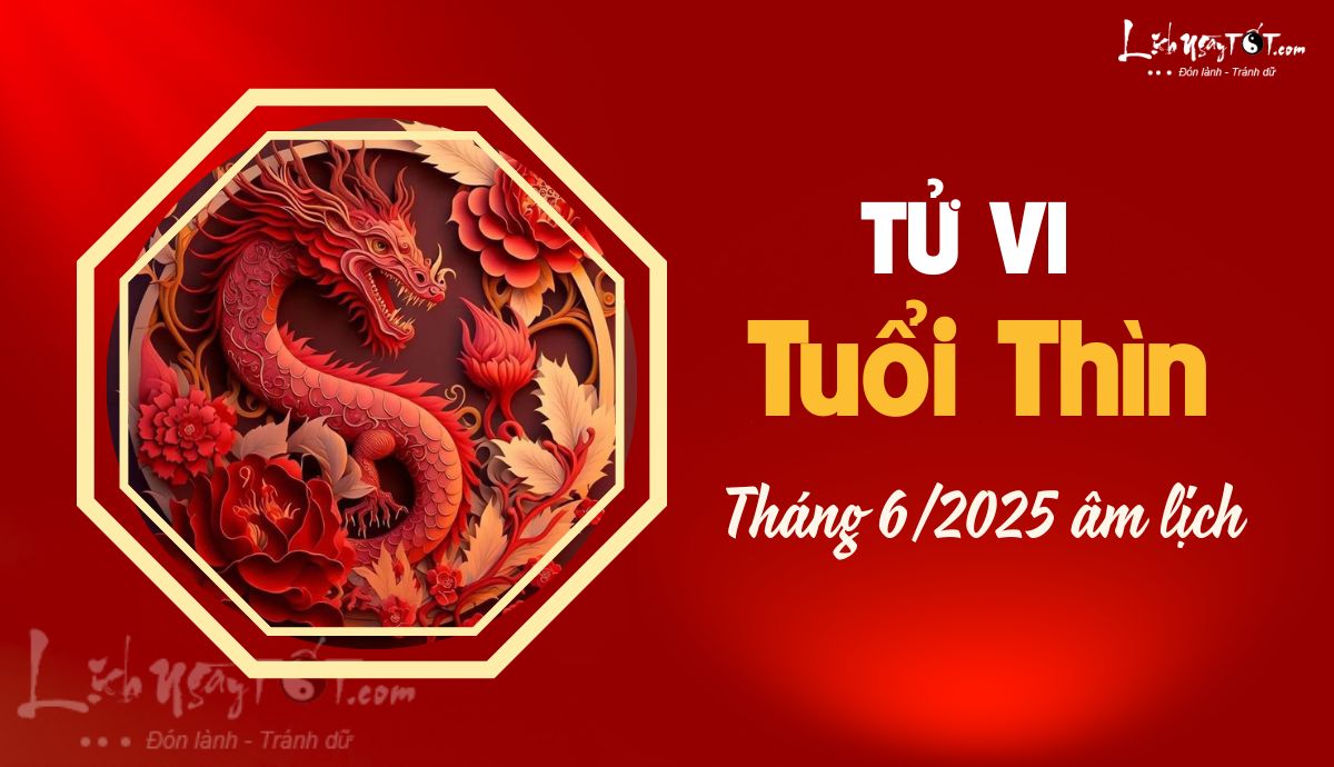 Tu vi thang 6/2025 tuoi Thin am lich