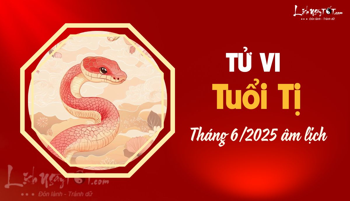 Tu vi thang 6/2025 tuoi Ti am lich