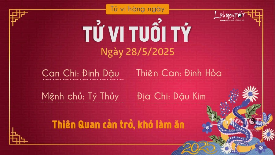 Tu vi hang ngay 28/5/2025 - Ty