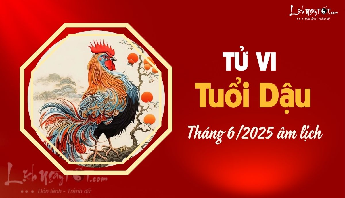 Tu vi thang 6/2025 tuoi Dau am lich