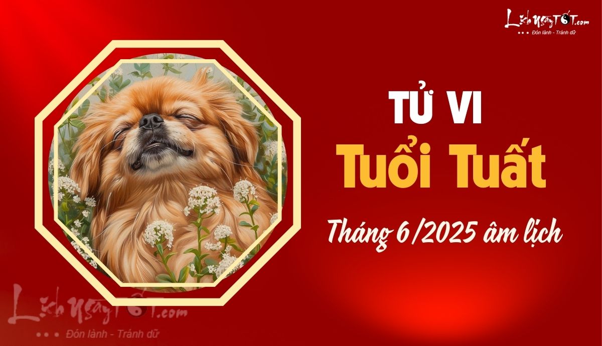 Tu vi thang 6/2025 tuoi Tuat am lich