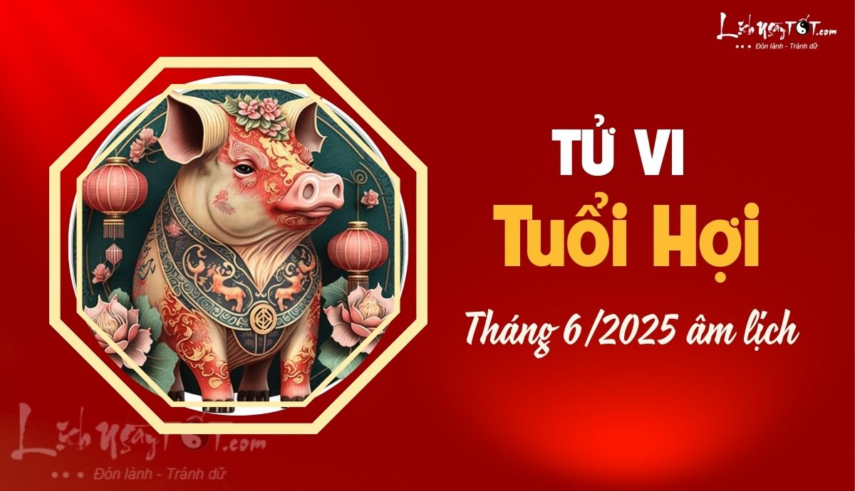 Tu vi thang 6/2025 tuoi Hoi am lich