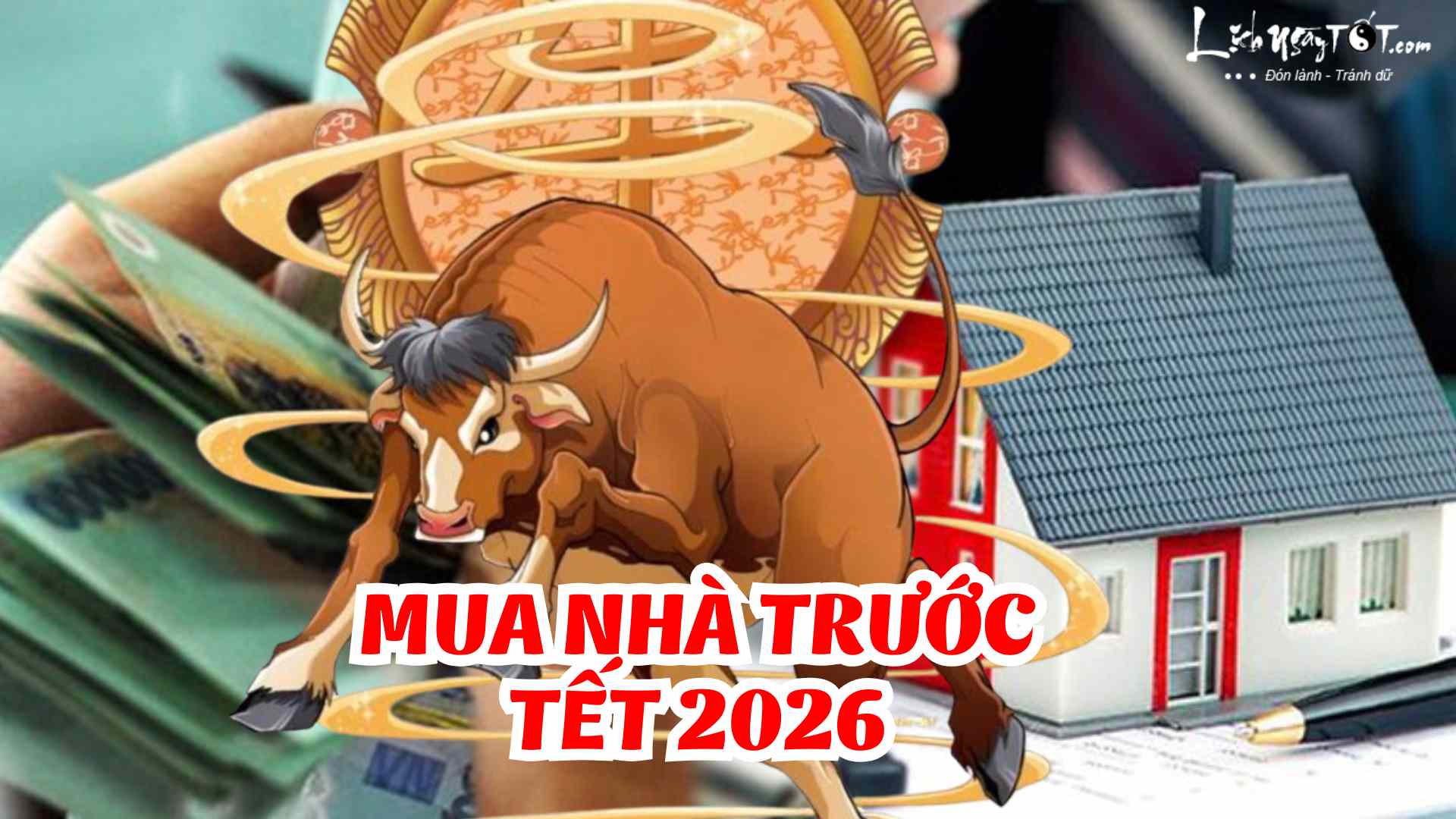 con giap mua nha truoc tet 2026