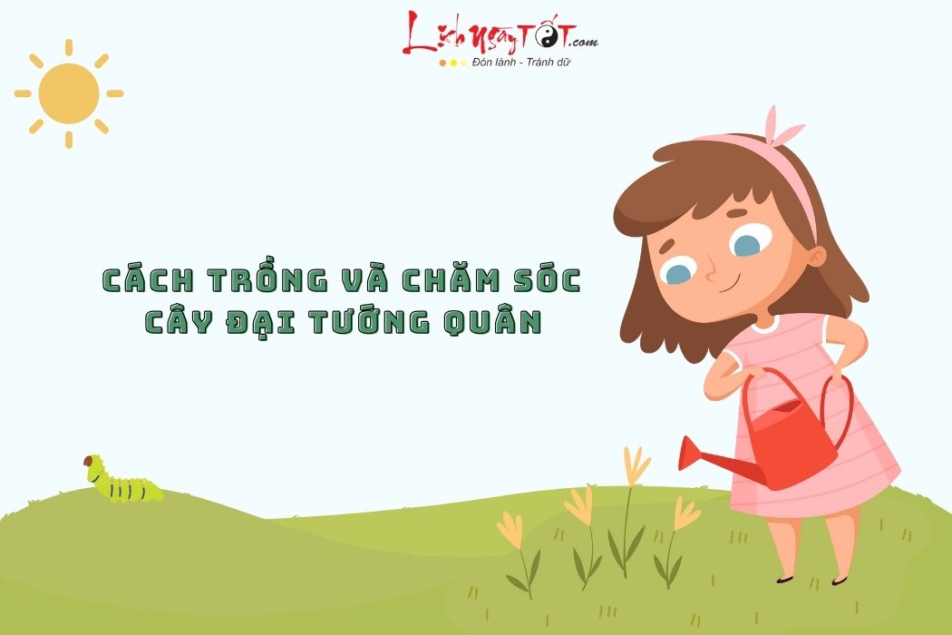 Trong va cham soc cay dai tuong quan