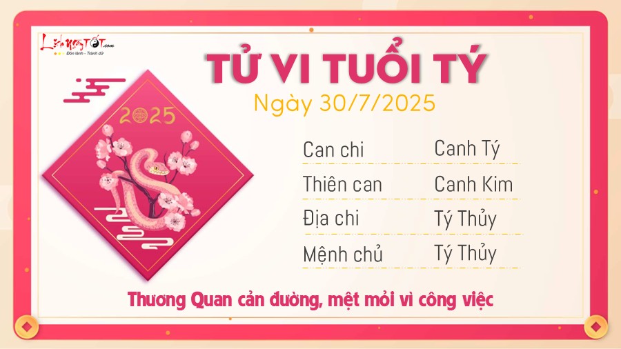 Tu vi hang ngay 30/7/2025 - Ty