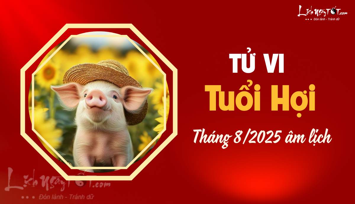 Tu vi thang 8/2025 tuoi Hoi am lich