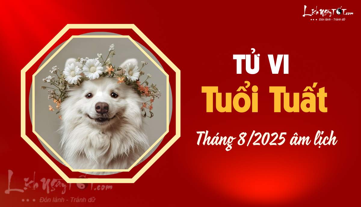 Tu vi thang 8/2025 tuoi Tuat am lich