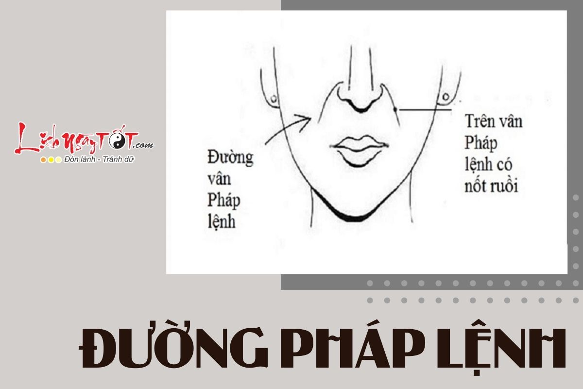 Duong Phap Lenh noi len dieu gi
