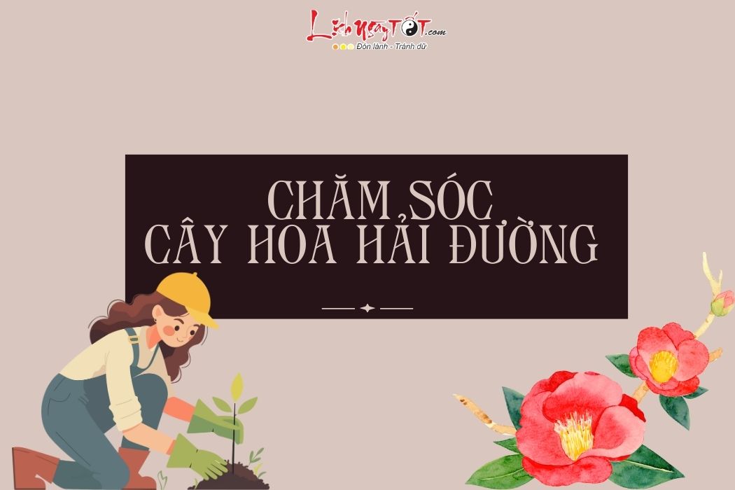 Cham soc Hoa hai duong