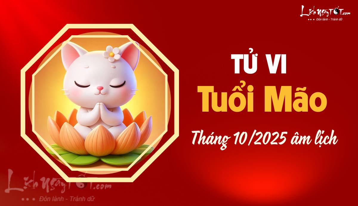 Tu vi thang 10/2025 tuoi Mao am lich