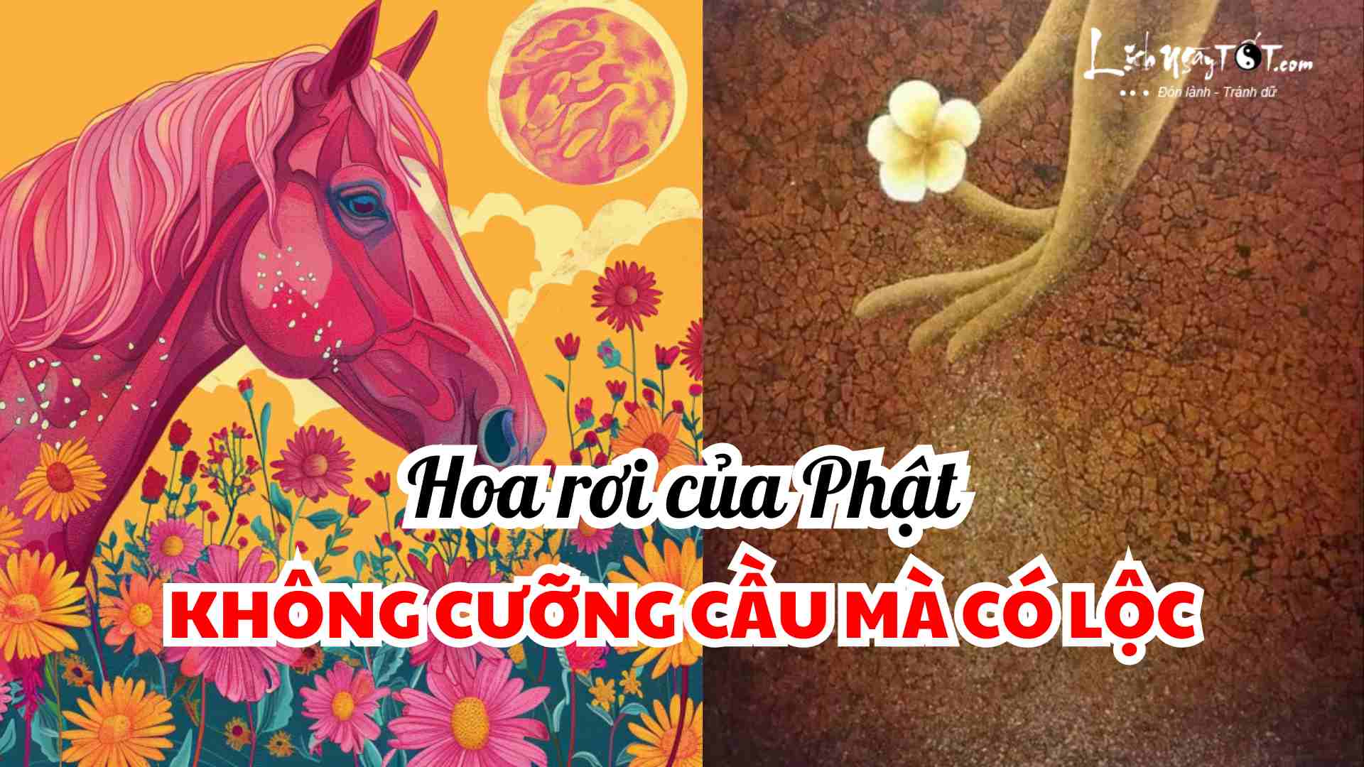 Con giap don loc giua tuan nay
